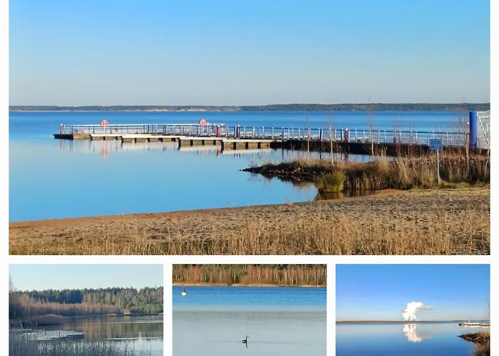 Lily, Baerwalder See, 